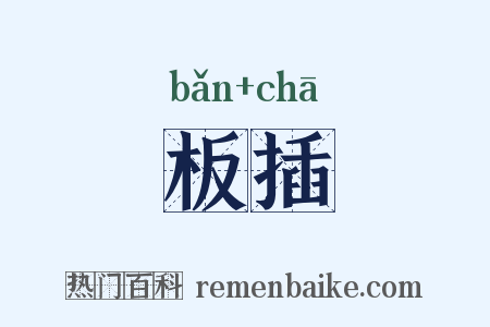 板插是什么意思的图片